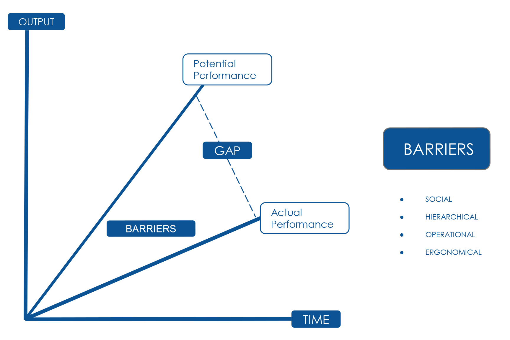 The New Future of architecture